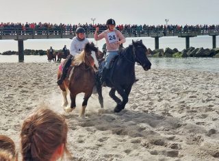 20250419-ostseebadwustrow-strandgalopprennen-fotokevinschiemann-20240330-140247-02