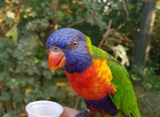 IMG-20180903-WA0038