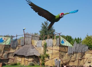 IMG-20180903-WA0060