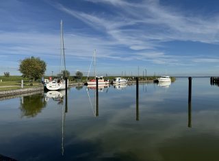 IMG_2580
