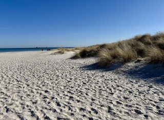 IMG_4358